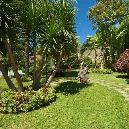 Girassol - Funchal (Madeira)