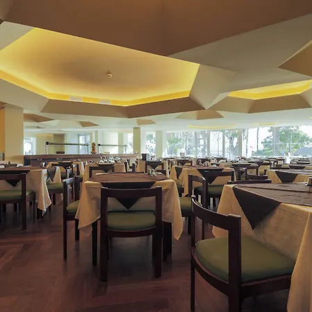 Girassol - フンシャル